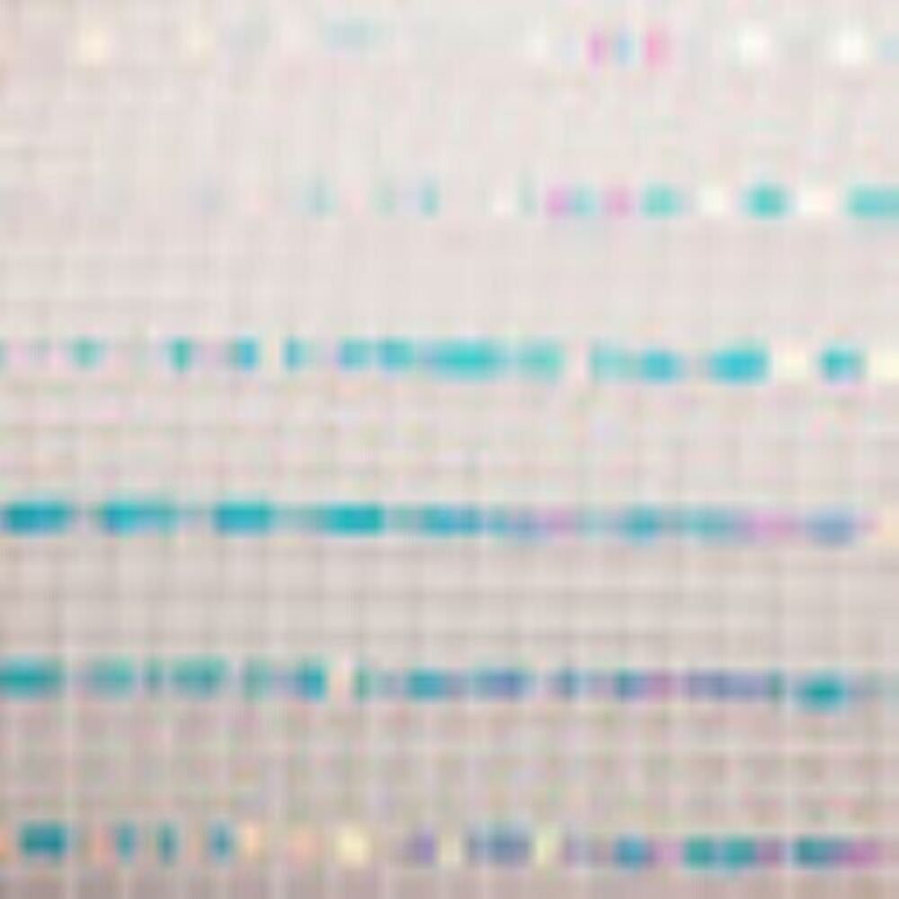 Poly Deco Mesh Wide Foil Iridescent White‎ 10: x 10 Yards - Picture 3 of 6